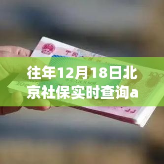 功能解析