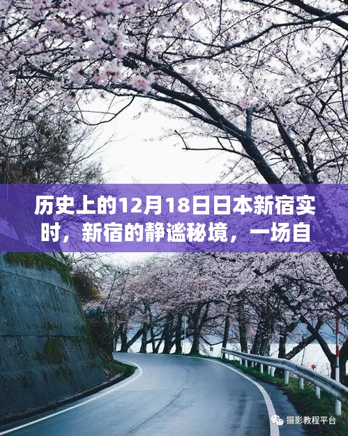 探寻之旅