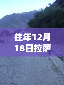 拉萨飞往成都航班背后的故事,航班动态与巷弄深处的奇遇记