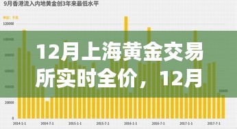 12月上海黄金交易所实时全价,市场深度透视与个人投资见解