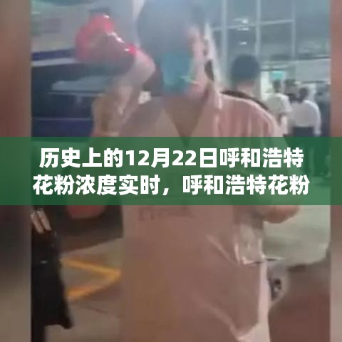 九死一生 第15页