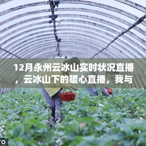 风驰电掣 第14页