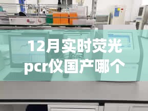 手舞足蹈 第13页