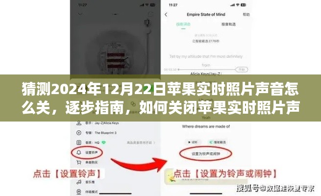 逐步指南，预测版 2024年苹果实时照片声音关闭操作指南