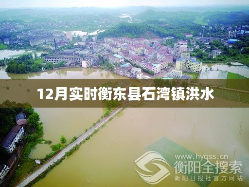 张牙舞爪 第15页