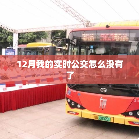 实时公交消失原因解析，12月发生了什么？