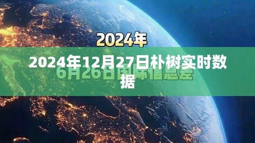 朴树演唱会实时数据曝光，2024年12月27日精彩回顾