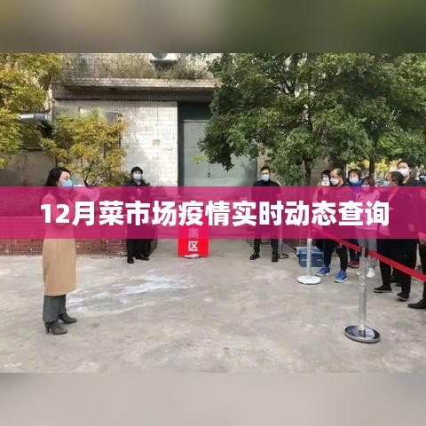 对答如流 第8页