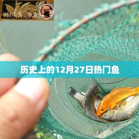 历史上的十二月二十七日，热门鱼事件回顾