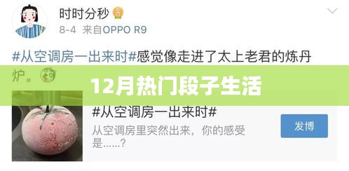12月爆笑生活段子大赏