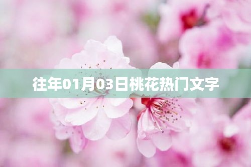 张牙舞爪 第8页