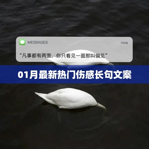最新伤感长句文案精选，触动心灵深处