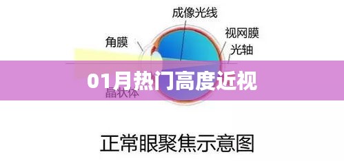 心急如焚 第6页