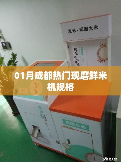 成都现磨鲜米机规格解析