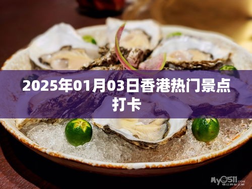 香港热门景点打卡攻略，2025年元旦新体验