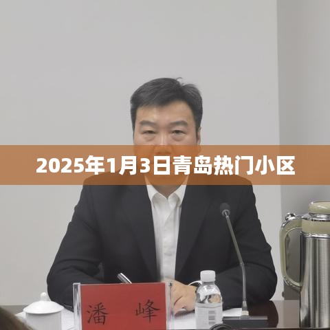 『青岛热门小区盘点，2025年1月3日最新动态』