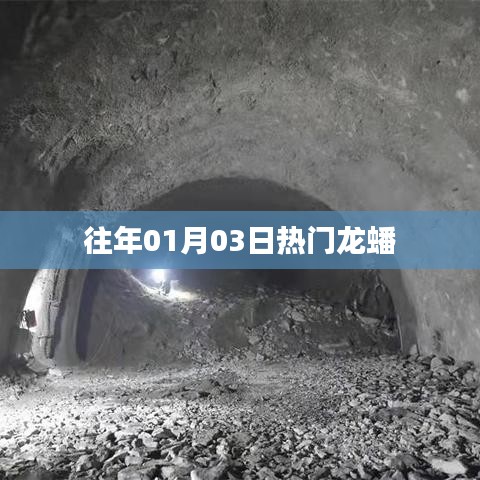 龙蟠历年一月三日盛况回顾
