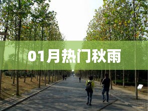 文质彬彬 第6页