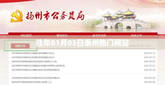 泰州历年一月三日热门网站盘点