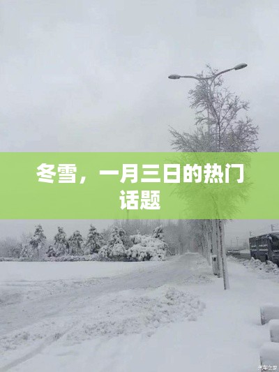 冬雪热议，一月三日的雪趣与话题