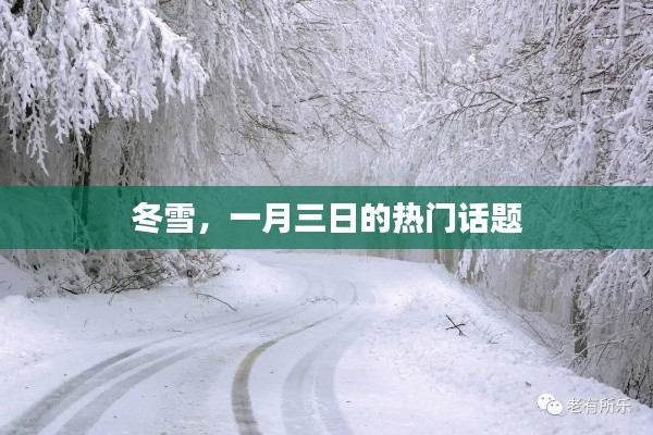 冬雪热议,一月三日的雪趣与话题
