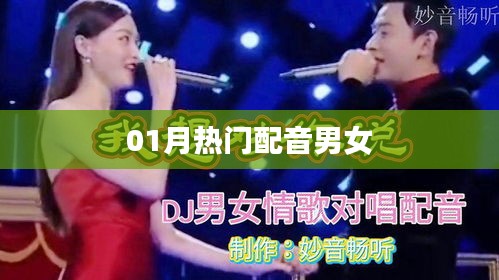最新热门配音男女角色大盘点（一月版）