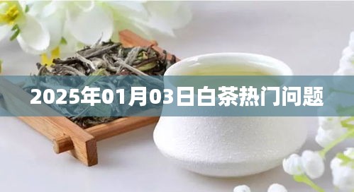 白茶热门问题解析，聚焦2025年行业焦点