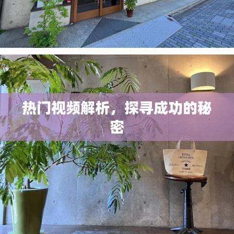 手舞足蹈 第3页