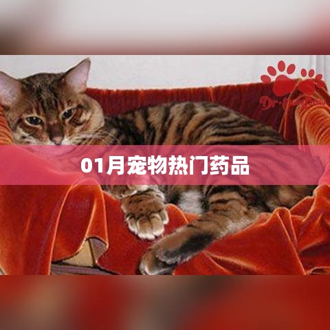 初告白 第3页