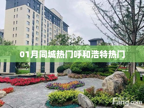 呼和浩特一月同城热点聚焦