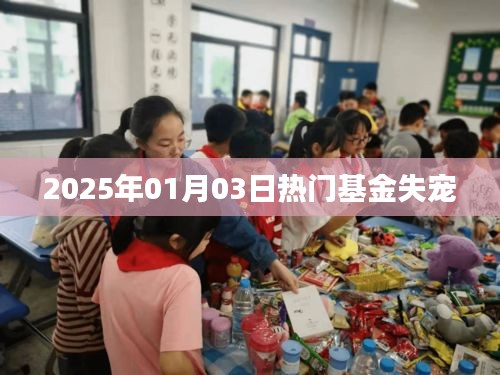 热门基金遭遇冷遇，2025年1月3日市场风向变化