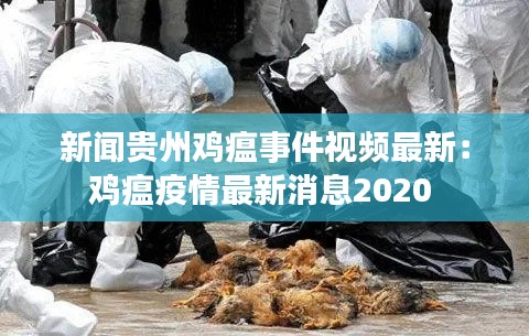 腾龙换鸟 第3页