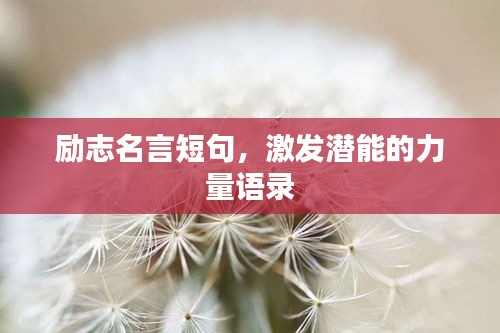 励志名言短句，激发潜能的力量语录