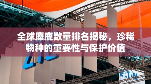 全球麋鹿数量排名揭秘，珍稀物种的重要性与保护价值