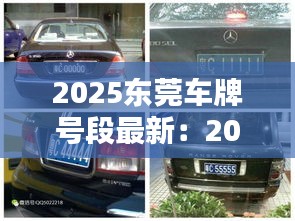 2025东莞车牌号段最新：2020东莞车牌号最新号段 