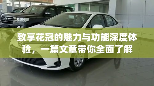 致享花冠的魅力与功能深度体验，一篇文章带你全面了解