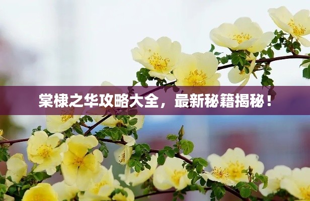 独学寡闻 第2页
