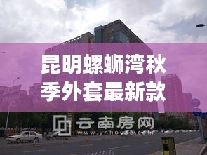 羽扇纶巾 第3页