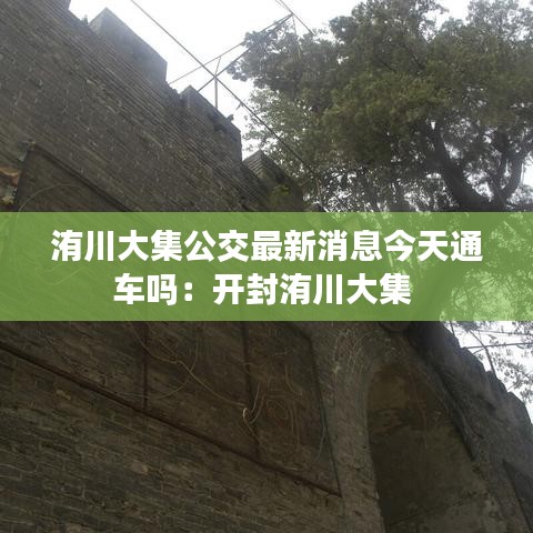 洧川大集公交最新消息今天通车吗：开封洧川大集 