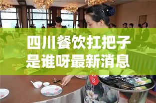 衣无二彩 第2页
