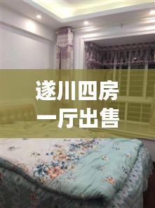 遂川四房一厅出售房源最新：遂川县租房最新消息一房一厅 