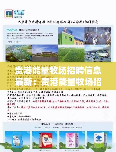观往知来 第2页