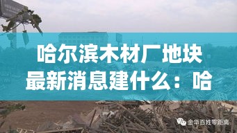 哈尔滨木材厂地块最新消息建什么：哈尔滨木材市场在哪里? 