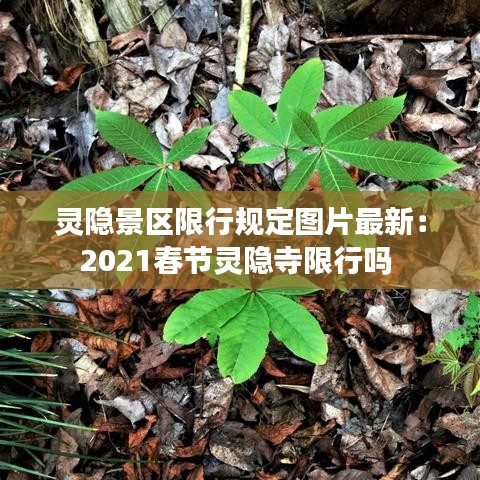 灵隐景区限行规定图片最新：2021春节灵隐寺限行吗 