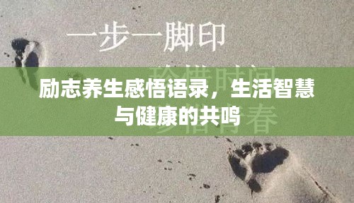 励志养生感悟语录，生活智慧与健康的共鸣