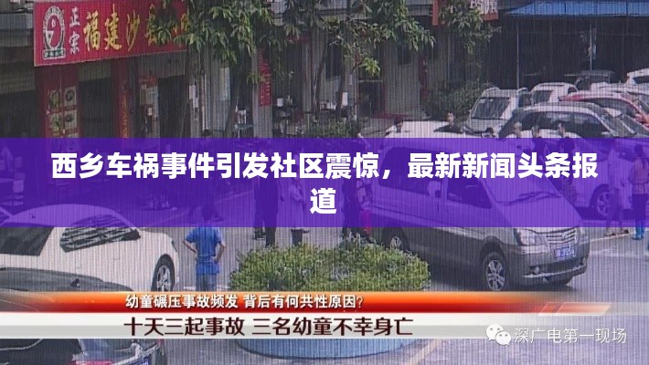 指李推张 第3页