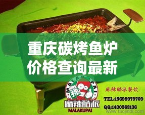 重庆碳烤鱼炉价格查询最新：重庆烤鱼味道很不错 