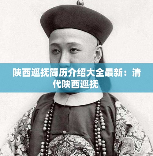 犯而不校 第3页