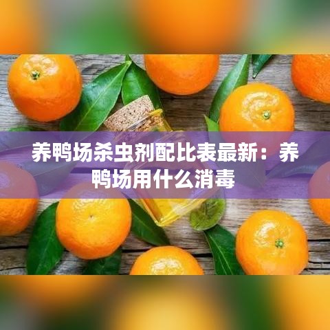 环肥燕瘦 第3页