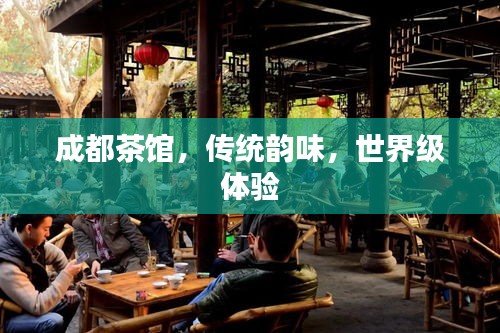 成都茶馆，传统韵味，世界级体验
